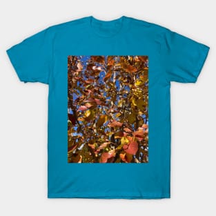 Late Autumn Pear Tree T-Shirt